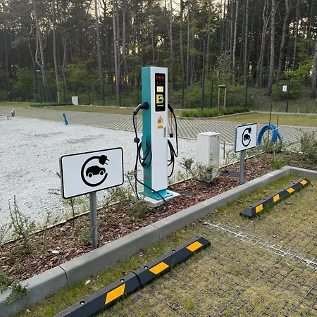 View Sea Pearl ロゴボ